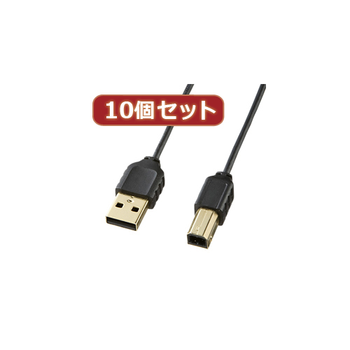 安いそれに目立つ 10個セットサンワサプライ 極細usbケーブル Usb2 0a Bタイプ Ku Slbkx10 Bサプライズ 店 肌触りがいい Atsu Edu Ge