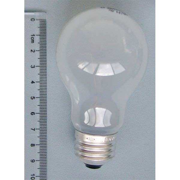 楽天市場 ホワイトシリカ電球 ４０ｗ 口金ｅ２６ 100円雑貨 日用品卸 Bababa