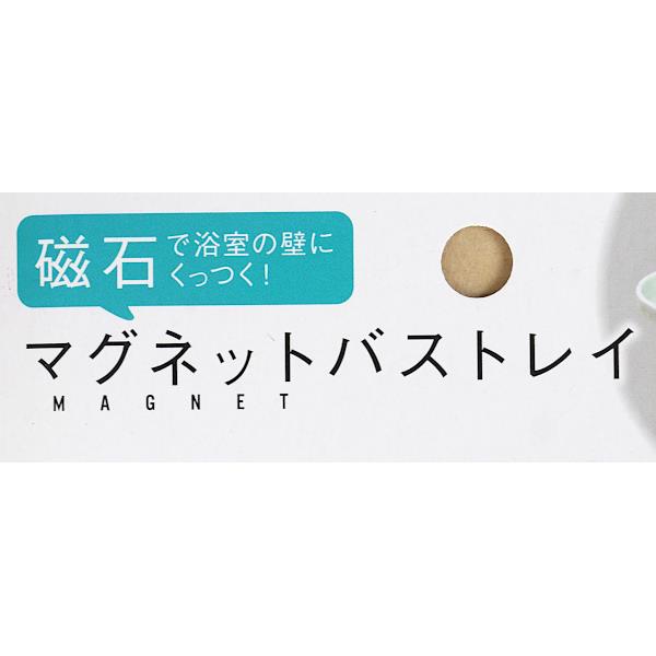 66％以上節約 バストレイ マグネットタイプ 4.8×9.5×奥行7.5cm wuigo.cl