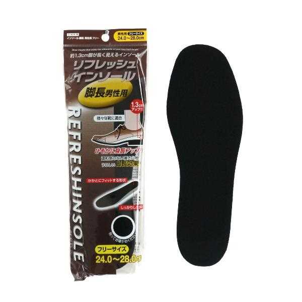 不動化学 リフレッシュインソール 抗菌+消臭 男性用 フリー 楽天市場】不動化学 リフレッシュインソール抗菌消臭 男性用