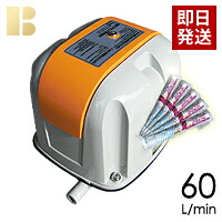 【塩素剤付き】【取り付け部品付き】【会員カード付き】浄化槽 エアーポンプ 安永 AP-60G (AP-60Fの後継機種)/合併浄化槽ブロワー,浄化槽ブロア,浄化槽ブロワ,浄化槽ブロアー,送料無料浄化槽ポンプ,浄化槽エアポンプの馬場福店｜安心の馬場福（ビル用品）