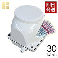 【塩素剤付き】【取り付け部品付き】【会員カード付き】浄化槽ブロワーフジクリーン(マルカ精機)EcoMac30/合併浄化槽エアーポンプ,浄化槽ブロア,浄化槽ブロワ,浄化槽ブロアー,送料無料,浄化槽ポンプ,浄化槽エアポンプの馬場福店 10,950円