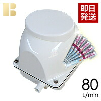 【塩素剤付き】【取り付け部品付き】【会員カード付き】浄化槽ブロワーフジクリーン(マルカ精機)EcoMac80/合併浄化槽エアーポンプ,浄化槽ブロア,浄化槽ブロワ,浄化槽ブロアー,送料無料,浄化槽ポンプ,浄化槽エアポンプの馬場福店｜安心の馬場福（ビル用品）