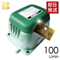 楽天市場 取り付け部品付き 会員カード付き 浄化槽ポンプテクノ高槻hp 100 合併浄化槽エアーポンプ 浄化槽ブロア 浄化槽ブロワ 浄化槽ブロアー 送料無料 浄化槽ブロワー 浄化槽エアポンプの馬場福楽天店 安心の馬場福 ビル用品