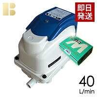【消臭剤付き】【取り付け部品付き】【会員カード付き】浄化槽ポンプテクノ高槻XP-40(消臭剤付き)/合併浄化槽エアーポンプ,浄化槽ブロア,浄化槽ブロワ,浄化槽ブロワー,浄化槽ポンプ,浄化槽エアポンプの馬場福店