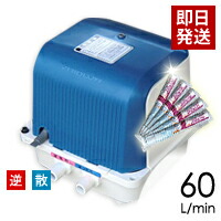 【塩素剤付き】【取り付け部品付き】【会員カード付き】浄化槽ポンプ テクノ高槻DUO-60(右) /合併浄化槽エアーポンプ,浄化槽ブロア,浄化槽ブロワ,浄化槽ブロアー,送料無料,浄化槽ブロワー,浄化槽エアポンプの馬場福店 30,200円
