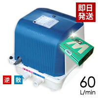 【消臭剤付き】【取り付け部品付き】【会員カード付き】浄化槽ポンプ テクノ高槻DUO-60(右) /合併浄化槽エアーポンプ,浄化槽ブロア,浄化槽ブロワ,浄化槽ブロアー,送料無料,浄化槽ブロワー,浄化槽エアポンプの馬場福店 21,975円