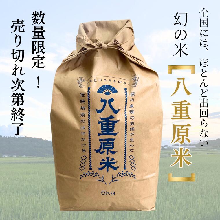 楽天市場】【八重原米】令和7年産 数量限定！長野県産コシヒカリ 5キロ