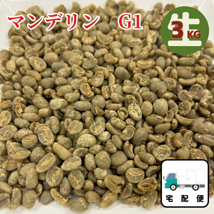 【マラソン 4/04 20:00～4/10 01:59 最大20％OFF＋最大P5倍】コーヒー生豆 インドネシアマンデリン G1 未焙煎 3.0KG 高級珈琲生豆 メール便 送料無料 お試し 買い回り ポイント消化 きまめ なままめ 9,232円