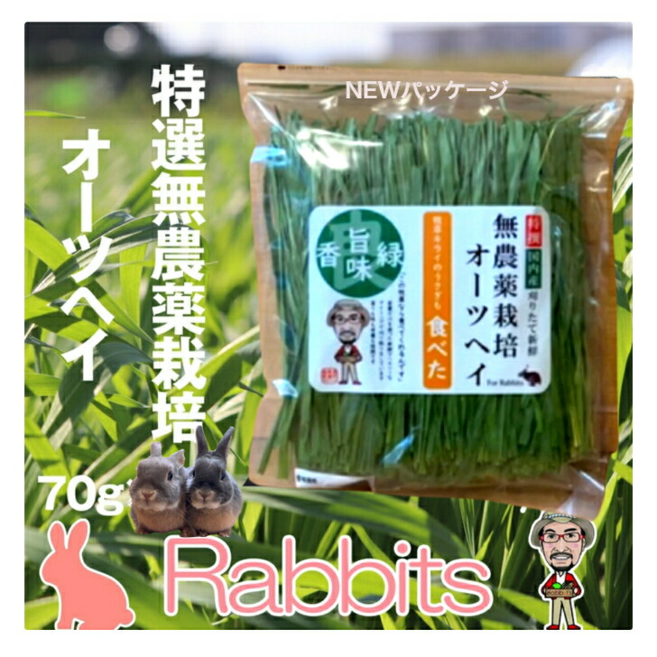 楽天市場】ウサギなど草食系小動物の副食・おやつにおすすめです