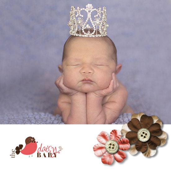 激安店舗 楽天市場】デイジーベビー【The Daisy Baby】重量感のある王冠 ぬいぐるみ