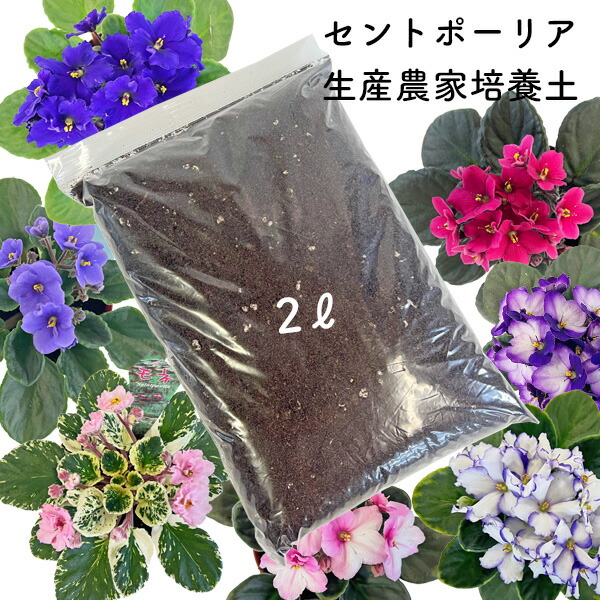 楽天市場】セントポーリア培養土 約2L[g1]【クーポン配布店舗