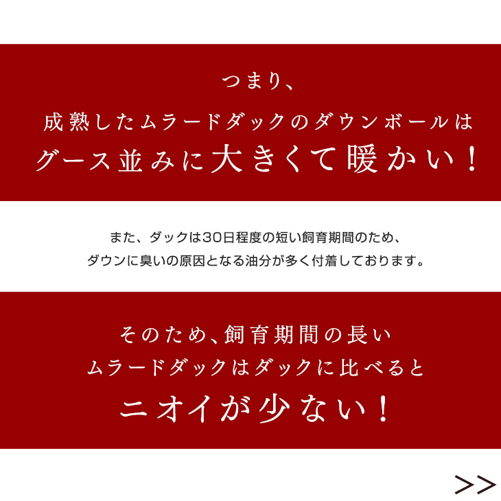 30マスキルト 送料無料 日本製 寝具 西川 ダウンボールが大きいムラードダック 羽毛布団 シングル 送料無料 羽毛布団 かさ高155mm以上 フランス産 西川 ダウン ロング 30マスキルト 380dp フランス産 羽毛布団 シルバーダックダウン90 日本製 大増量1 3kg ふとん