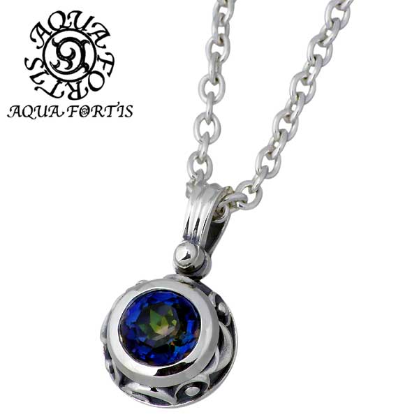 AQUA FORTIS アクアフォルティス　ネックレス　925 シルバーアクセ AQUA SILVER アクアフォーティス FORTIS アクアシルバー