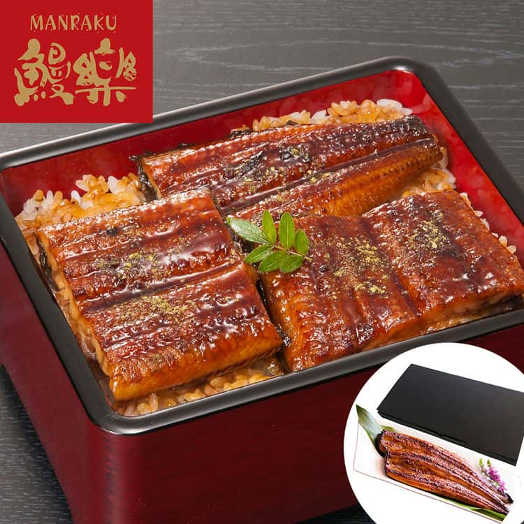 宮崎 鰻楽 九州産うなぎ蒲焼 2尾 計280g ご進物 ギフト 贈り物に 離島配送不可