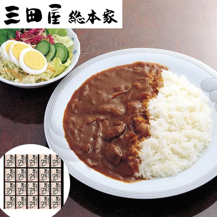 【ポイント2倍！マラソン期間中！】 三田屋総本家 黒毛和牛 ハヤシ 20食 国産黒毛和牛を使用した贅沢なビーフハヤシ トマトの酸味と黒毛和牛の旨味が絶妙なこだわりビーフハヤシです ご進物 ギフト 贈り物に 離島配送不可