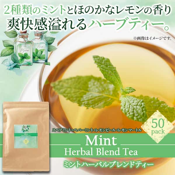 ミント ハーバル ブレンド ティー 50包 爽快感がお口の中を駆け抜ける！ 2種類のミントを使用 手土産 プレゼント ご進物 ギフト 贈り物に SM00011143