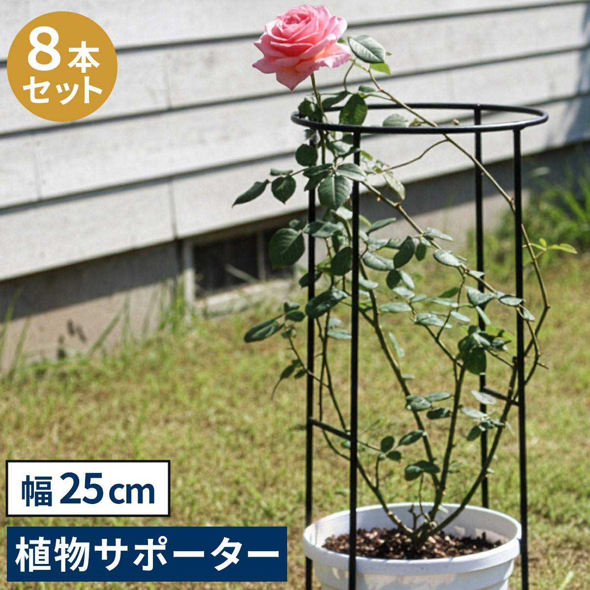【ポイント2倍！20日まで！】 アイアン製 植物サポーター 幅25 8本セット IF-N0049-8P 奥行13 高さ50 ハーフリング 倒れ防止 広がり抑制 スチール 鉄製 支柱 園芸 植物サポート フラワーサポート 菜園 花壇