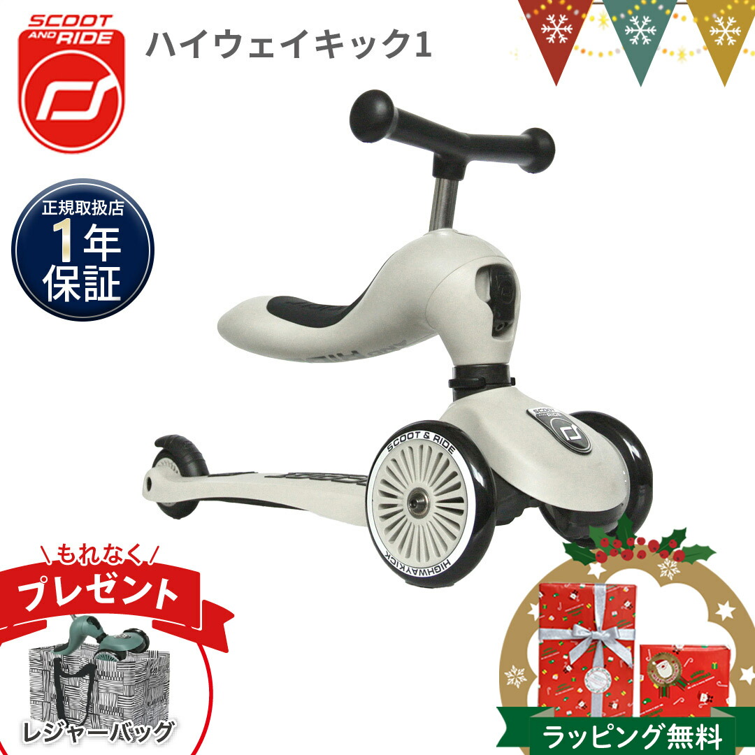 楽天市場】＼もれなく収納バッグプレゼント／スクートアンドライド