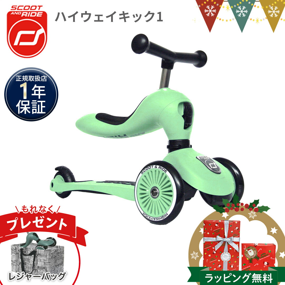 楽天市場】＼もれなく収納バッグプレゼント／スクートアンドライド