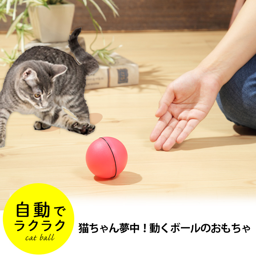 【ペット用品】猫が喜ぶ動くおもちゃのおすすめは？