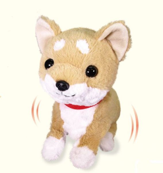 【送料無料】あそぶの大好き　柴犬　まめ太