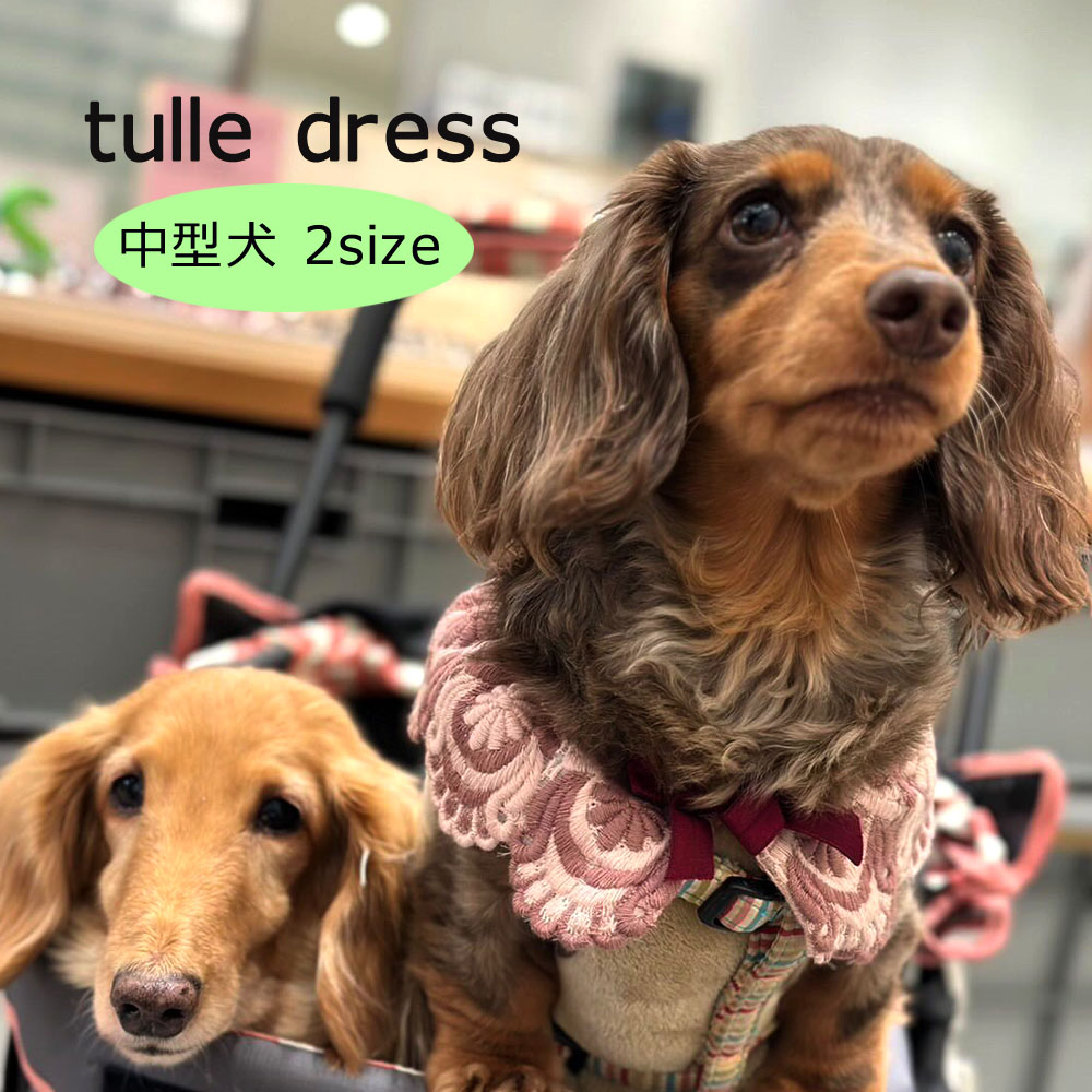 楽天市場】カラフルワンピース 中型犬用 犬服 ペットウェア 犬 フリル