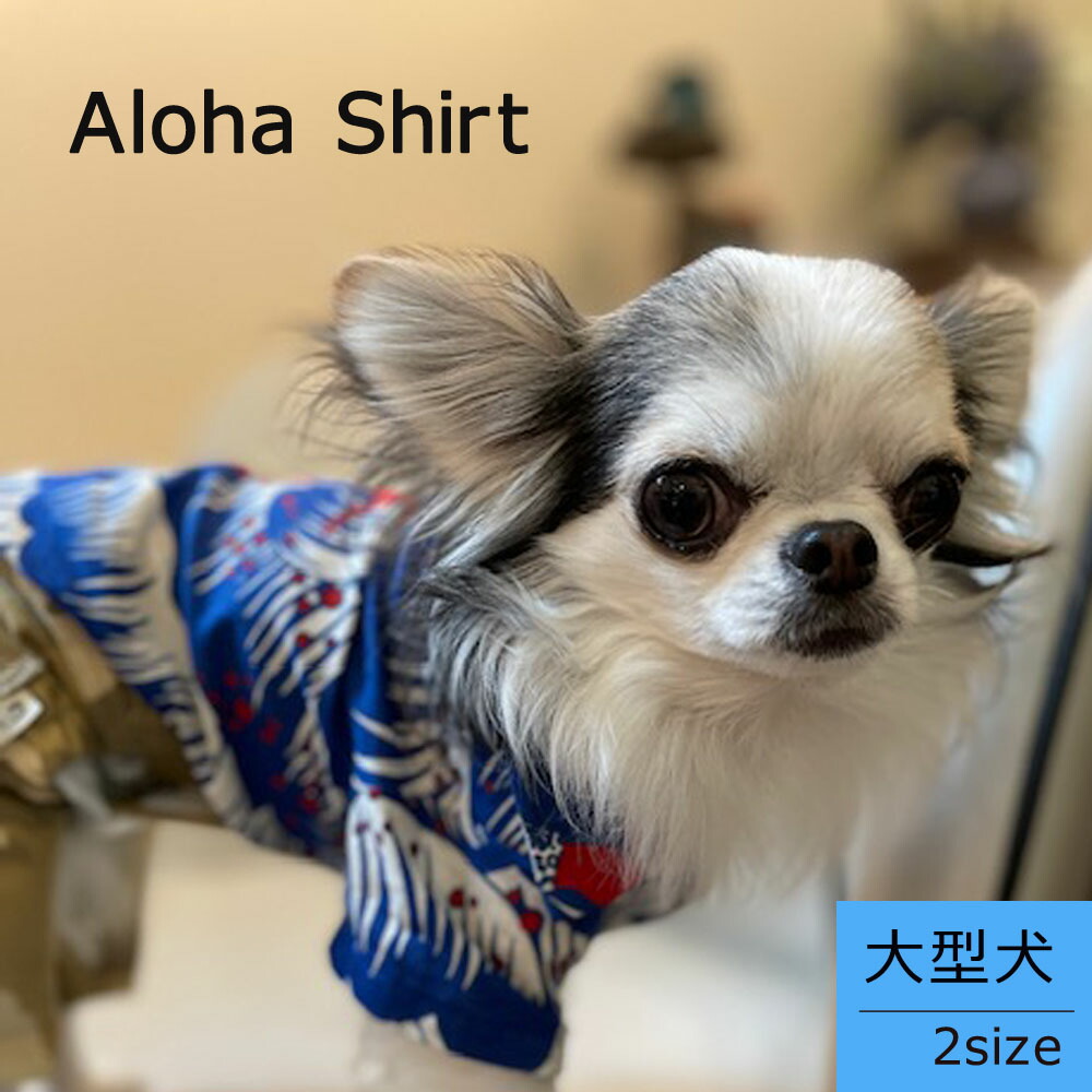 aloha-shirt-l.jpg