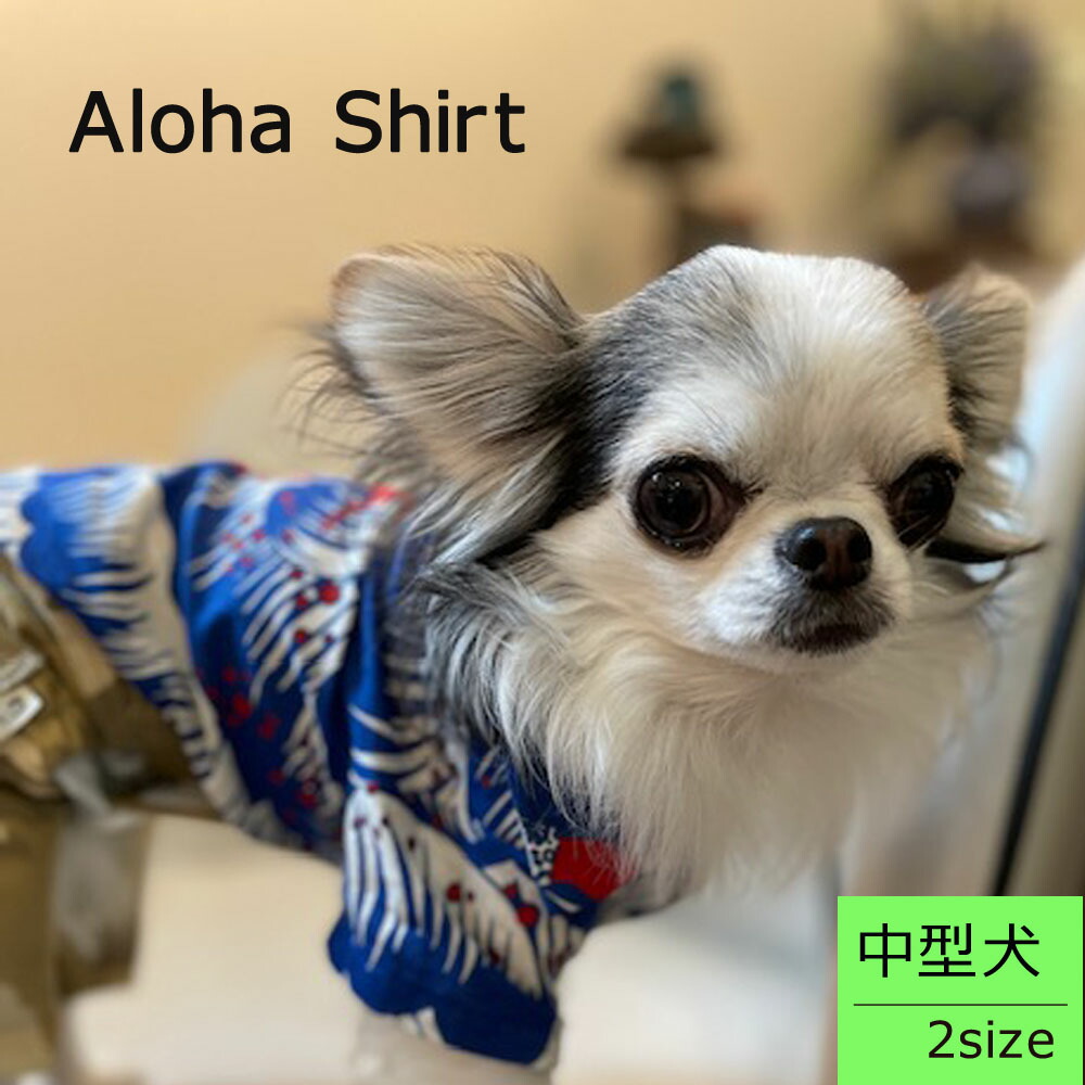 Atelier GG アロハプリントシャツ　犬服　山吹 aloha-shirt-m.jpg