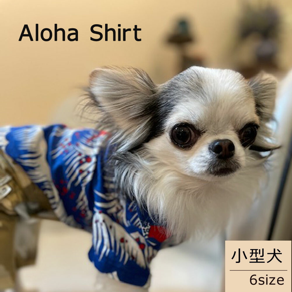 楽天市場】アロハシャツ 中型犬用 犬服 ペットウェア かわいい お揃いコーデ 柴犬 フレンチブルドッグ 手作り ペットアイテム お揃いコーデ アレンジ  おそろい キッズ 家族 ペア わにぽ : ベイビーフェイス 手作り子供服