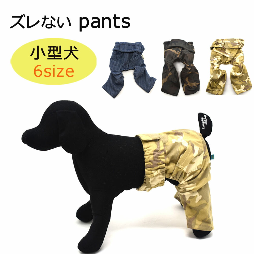 楽天市場】ズレないパンツ 小型犬用 6サイズ 犬服 超小型犬 ペット