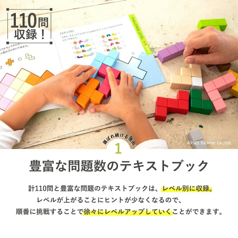 専門ショップ 立体パズル 木のおもちゃ パズル 積み木 はじめてのおもちゃ 知育玩具 知育 誕生日プレゼント 男の子 女の子 長く遊べる エド インター 作品集付き Chandigarhdaily Com