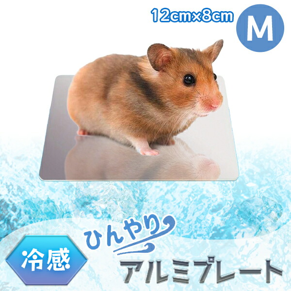 楽天市場】ひんやり アルミプレート（M） 12cm×8cm ハムスター 小動物