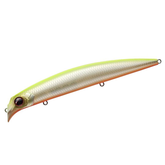 楽天市場】【在庫限りの特別価格】エバーグリーン アマゾン ペンシル