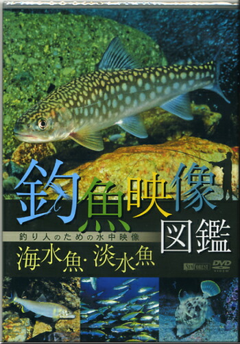 楽天市場 Dvd Takeo 釣魚映像図鑑釣り人のための水中映像 海水魚 淡水魚 メール便可 Lure Boats Back Lash