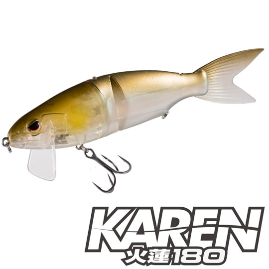 楽天市場】【在庫限りの特別価格】エバーグリーン アマゾン ペンシル