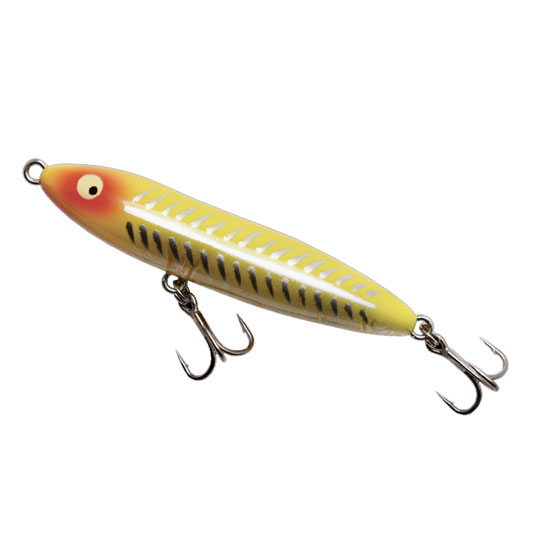 楽天市場】【2025年新色追加】ボンバダアグア(BOMBADA) アマゾンパピー