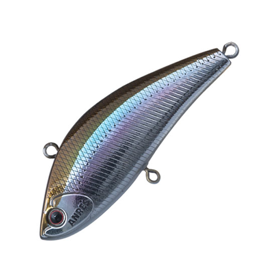 楽天市場】フィッシュマン ビームス ブランシエラ 3.9UL LIMITED