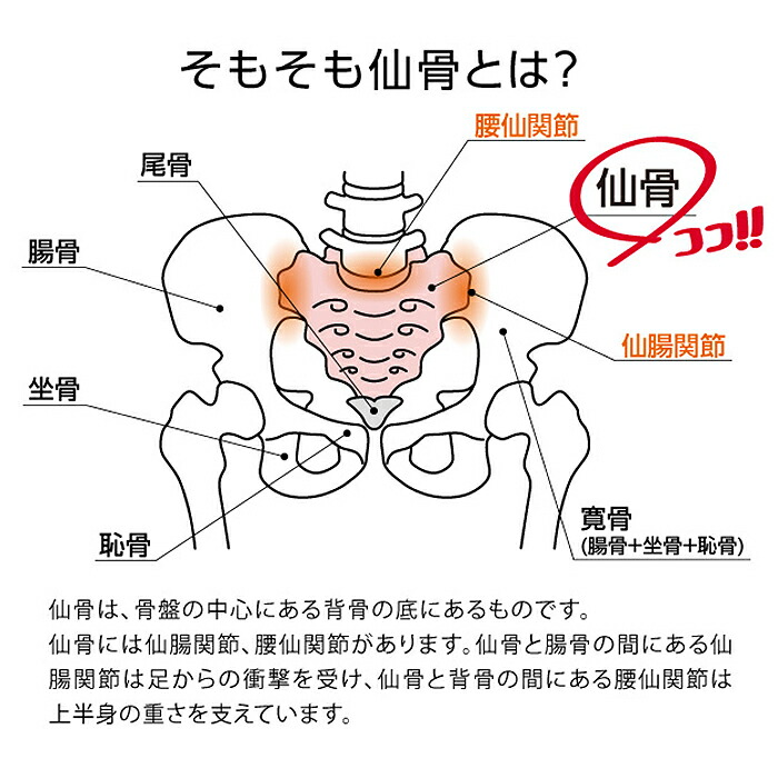 楽天市場 腰痛 マッサージ 好評 仙骨 ほぐし コシレッチ 骨盤 ストレッチ ストレッチャー 指圧 代用 整体 肩甲骨 ふくらはぎ マッサージャー コンパクト クッション 産後 腰 リラックス マッサージ用品 Backyard Family バッグタウン