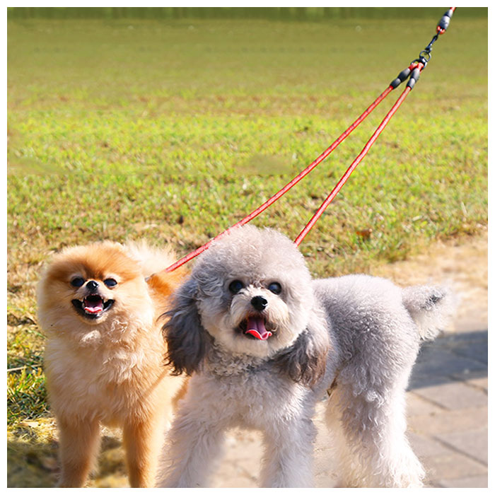 楽天市場 犬 リード 2頭引き セット 好評 かわいい おしゃれ 小型犬 可愛い 犬用 中型犬 ペット用品 いぬ 散歩 イヌ 多頭飼い ダブルリード 持ち手 延長 丈夫 Backyard Family バッグタウン