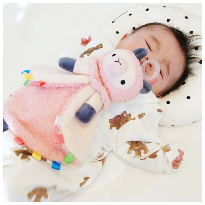 87 以上節約 パシフレンズ 好評 おしゃぶりホルダー おしゃぶり ぬいぐるみ 赤ちゃん ベビー おしゃぶり付きぬいぐるみ Paci Friends Blankie ブランキー ブランケットタイプ つかみやすい 転がりにくい 0歳 新生児 出産祝い プレゼント ギフト 男の子 女の子 子供