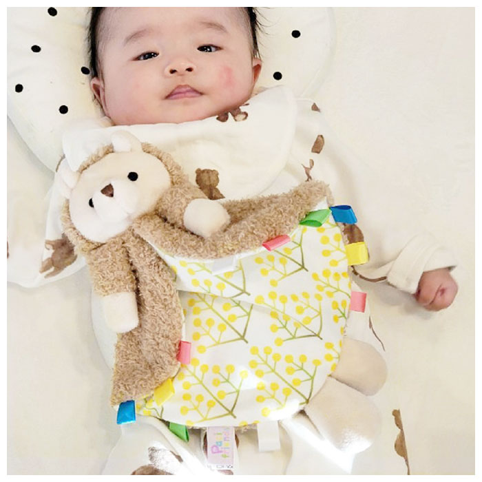 87 以上節約 パシフレンズ 好評 おしゃぶりホルダー おしゃぶり ぬいぐるみ 赤ちゃん ベビー おしゃぶり付きぬいぐるみ Paci Friends Blankie ブランキー ブランケットタイプ つかみやすい 転がりにくい 0歳 新生児 出産祝い プレゼント ギフト 男の子 女の子 子供