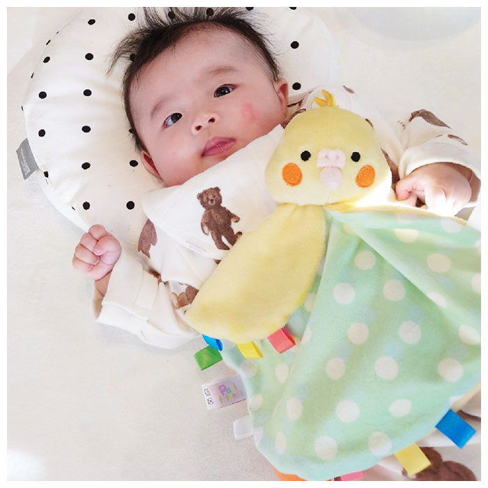 87 以上節約 パシフレンズ 好評 おしゃぶりホルダー おしゃぶり ぬいぐるみ 赤ちゃん ベビー おしゃぶり付きぬいぐるみ Paci Friends Blankie ブランキー ブランケットタイプ つかみやすい 転がりにくい 0歳 新生児 出産祝い プレゼント ギフト 男の子 女の子 子供