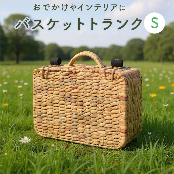 トランク　2こセット　ウォーターヒヤシンス 楽天市場】トランク型バスケット M 横幅40cm ウェルカムトランク