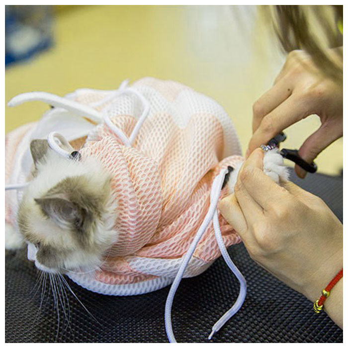 楽天市場】猫 ネット 通販 爪切り シャンプー 通院 網 袋 お世話 お 