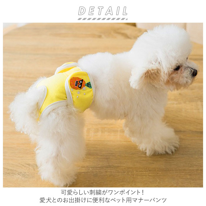 市場 犬 おむつカバー マナーパンツ 生理 オムツ 通販 サニタリーパンツ タイプ マナーウェア? 生理パンツ パンツ