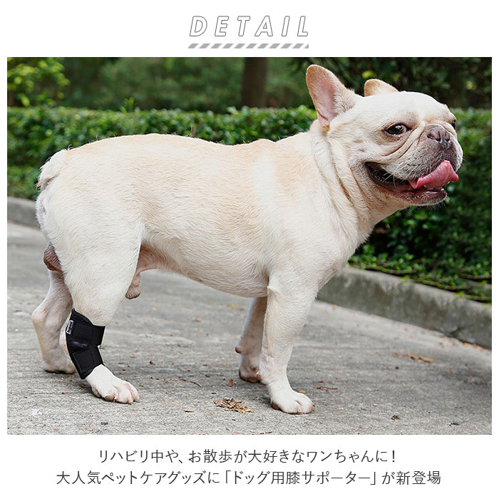 犬 サポーター 腕 肘用 ひじ プロテクター ひざ 肘 肘サポーター 肘当て うで 膝 通販 膝用 腕サポーター 腕用 膝サポーター