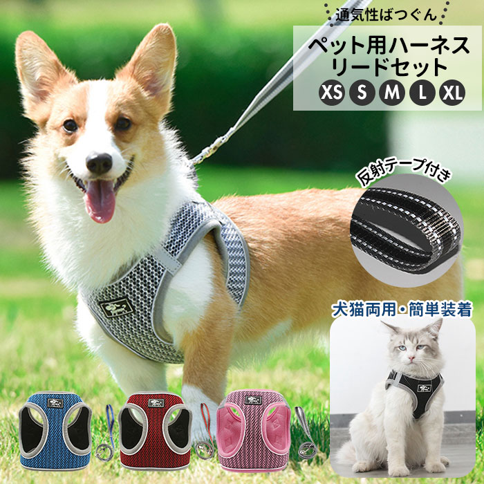 福袋セール】 可愛いモチーフのハーネスリード❣️ - 犬用品