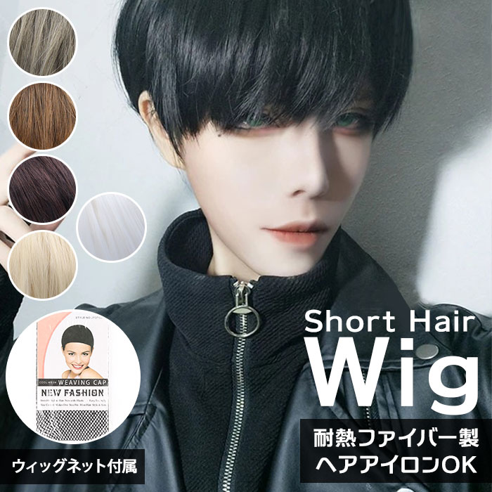 楽天市場】ウィッグ ショート 定番 男装 ウイッグ フルウィッグ メンズ