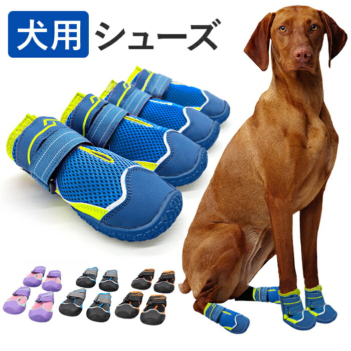 【楽天市場】犬 靴 脱げにくい 通販 犬用靴 犬の靴 履かせやすい 滑りにくい ドッグシューズ ドッグブーツ メッシュ 通気性 面ファスナー